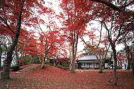 もみじ園