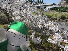 「良寛の里美術館」の画像1