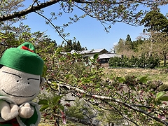 「良寛の里美術館」の画像2