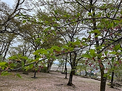 「巴ヶ丘」の画像2