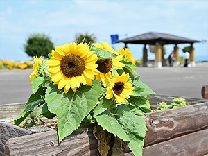 「7.13水害防災メモリアル+「一般献花」」の画像2