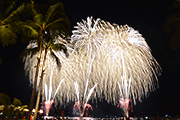 記事「長岡花火、今年もホノルルの夜空に咲く」の画像