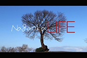 記事「広報テレビ新番組「Nagaoka LIFE」」の画像