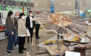 記事「大きなエイがお出迎え!廃材水族館がリニューアル」の画像
