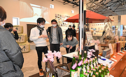 記事「バカンス×仕事×市内企業の魅力、一挙に!」の画像