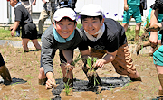 記事「米フェス初!希望が丘小学校で米作りに挑戦」の画像