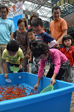 「山古志産の金魚すくいコーナー」の画像