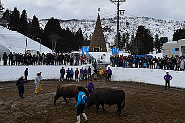 「雪中角突き大会」の画像