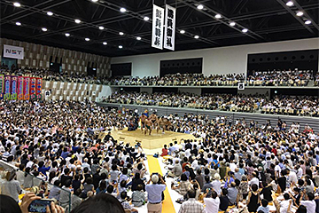 「「夏巡業大相撲アオーレ長岡場所」」の画像