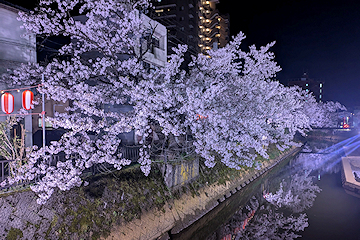 「柿川」の画像1