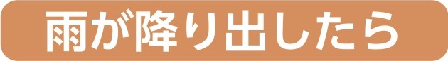 ׂ