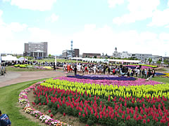 「花いっぱいフェア」の画像2