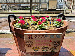 「長岡駅前市民プランターづくり」の画像4